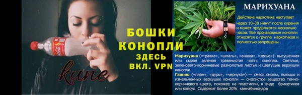 бошки Арсеньев