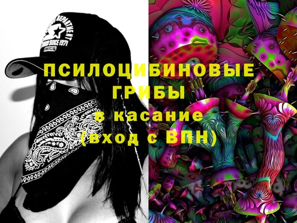 бошки Арсеньев