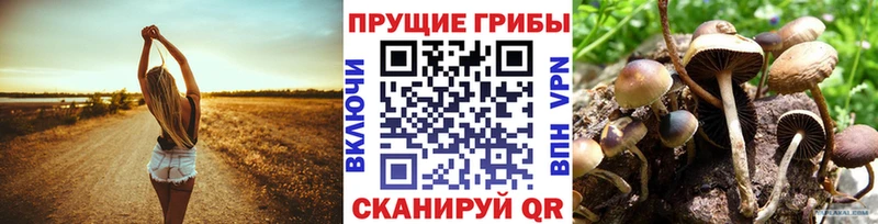 Псилоцибиновые грибы Psilocybe  продажа наркотиков  Серов 